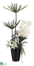 Silk Plants Direct Cypress, Vanda Orchid - White - Pack of 1