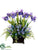 Iris, Wildflower - Purple Blue - Pack of 1