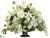 Ranunculus, Lily, Snowball - Cream White - Pack of 1