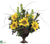 Sunflower, Protea, Bell of Ireland - Yellow Brown - Pack of 1