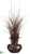 Grass, Feather, Bamboo - Brown Orange - Pack of 1