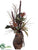 Sugarcane, Protea - Burgundy Brown - Pack of 1