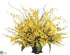 Silk Plants Direct Calla Lily, Oncidium Orchid, Forsythia - Yellow - Pack of 1