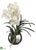Vanda Orchid - White - Pack of 1