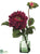 Dahlia - Burgundy Wine - Pack of 4