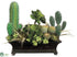Silk Plants Direct Cactus, Succulent, Echeveria - Green Burgundy - Pack of 1