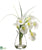 Calla Lily - White - Pack of 1