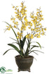 Silk Plants Direct Oncidium Orchid - Yellow - Pack of 1