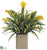 Calla Lily, Statics, Grass - Yellow Two Tone - Pack of 1