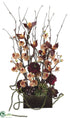 Silk Plants Direct Phalaenopsis Orchid, Ranunculus - Apricot Burgundy - Pack of 1