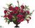 Peony, Ranunculus, Calla - Beauty Plum - Pack of 1