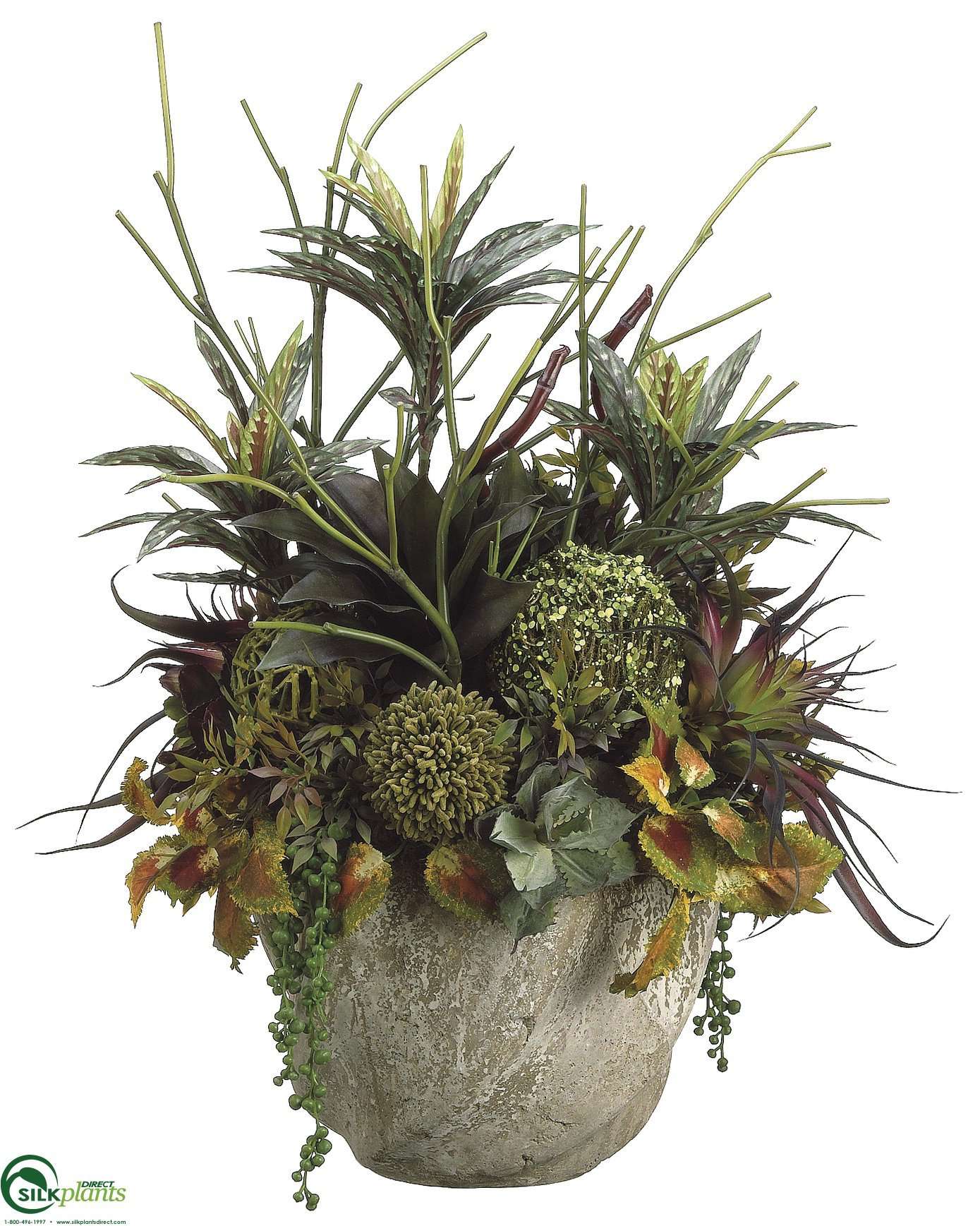 dracaena arrangement Silk Plants Direct Succulent, Dracaena, Coleus - Green Burgundy