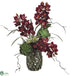 Silk Plants Direct Cymbidium Orchid, Succulent - Burgundy Green - Pack of 1