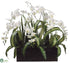 Silk Plants Direct Phalaenopsis Orchid, Carex Leaf - Cream Green - Pack of 1