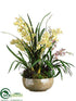 Silk Plants Direct Orchid, Succulent - Green Orchid - Pack of 1