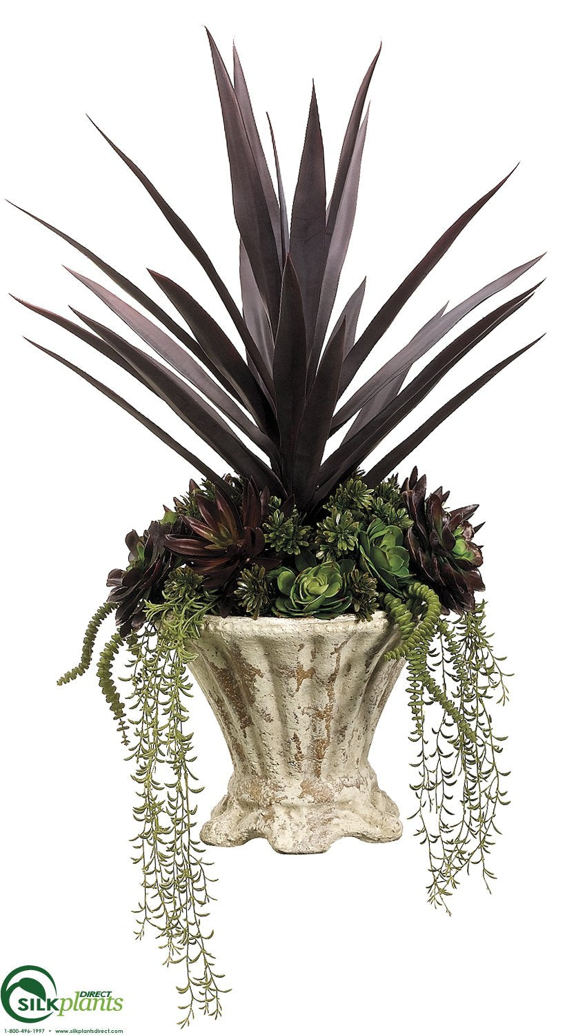 are yuccas succulents Silk Plants Direct Yucca, Succulents - Green Purple
