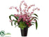 Silk Plants Direct Oncidium Orchid, Succulents - Fuchsia Beauty - Pack of 1
