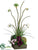 Anemone, Allium, Twig Ball - Orchid Green - Pack of 1