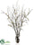 Quince Blossom, Twig - Cream - Pack of 1
