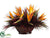 Bird of Paradise, Grass - Orange Burgundy - Pack of 1