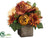 Amaryllis, Peony - Rust Beige - Pack of 1