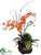 Phalaenopsis Orchid, Twig - Orange - Pack of 1