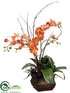 Silk Plants Direct Phalaenopsis Orchid, Twig - Orange - Pack of 1