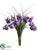 Iris, Grass - Purple - Pack of 1