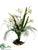 Cactus Flower, Tabasco Flower - Cream Green - Pack of 1