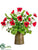 Anemone - Red Green - Pack of 1