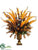 Canna, Foxtail, Protea - Orange Burgundy - Pack of 1