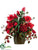 Hydrangea, Daisy, Berry - Red Burgundy - Pack of 1