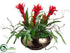 Silk Plants Direct Bromeliad, Sedum, Hen and Chick - Red Green - Pack of 1