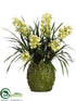 Silk Plants Direct Cymbidium Orchid - Green - Pack of 1