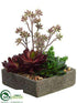 Silk Plants Direct Aeonium, Sedum, Echeveria - Green Burgundy - Pack of 1