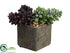 Silk Plants Direct Sedums - Green Burgundy - Pack of 2