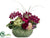 Hydrangea, Orchid, Ranunculus - Purple Beauty - Pack of 1