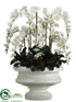 Silk Plants Direct Phalaenopsis Orchid - Cream Green - Pack of 1