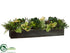 Silk Plants Direct Protea, Hydrangea, Succulent - Green - Pack of 1