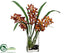Silk Plants Direct Vanda Orchid - Orange - Pack of 1