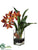 Vanda Orchid - Orange - Pack of 1