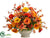 Poppy, Rose, Orchid - Orange Yellow - Pack of 1