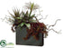 Silk Plants Direct Succulent, Grass - Green Burgundy - Pack of 1