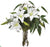 Casablanca Lily, Eucalyptus - White - Pack of 1