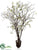 Cherry Blossoms - White - Pack of 1