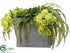 Silk Plants Direct Orchid, Fern Arrangement - Green Two Tone - Pack of 1
