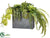 Orchid, Fern, Succulent Arrangement - Green Two Tone - Pack of 1