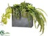 Silk Plants Direct Orchid, Fern, Succulent Arrangement - Green Two Tone - Pack of 1