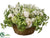 Rose, Lily of The Valley Arrangement - Cream Green - Pack of 1