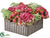 Hydrangea, Kalanchoe Arrangement - Fuchsia Green - Pack of 1